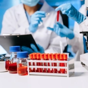 Des scientifiques, des béchers et des microscopes dans le cadre de recherches de pointe. P