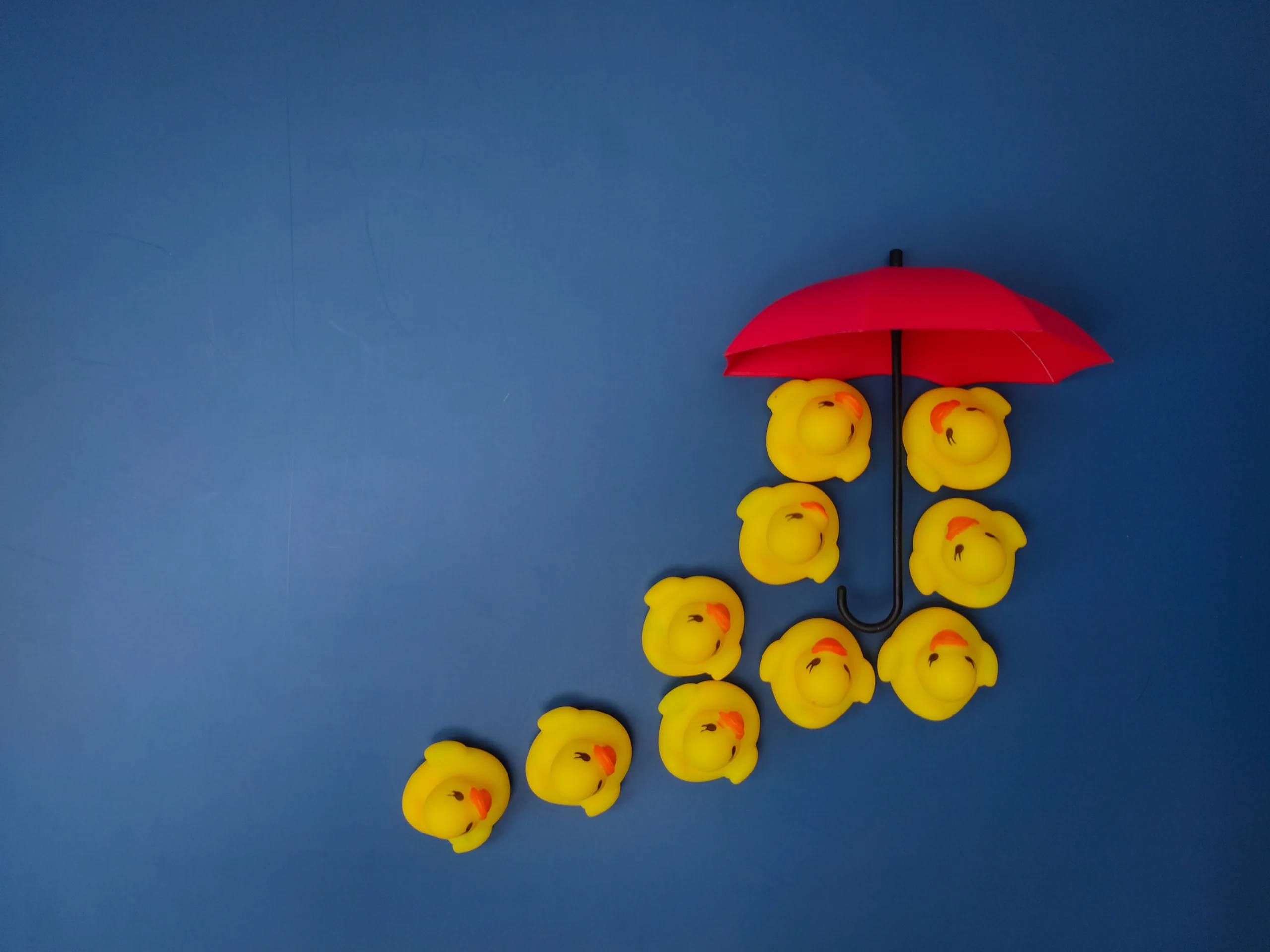 Parapluies rouges et canards jaunes sur fond bleu. Le concept de couverture d'assurance Parapluies rouges et canards jaunes sur fond bleu. Le concept de couverture d'assurance.